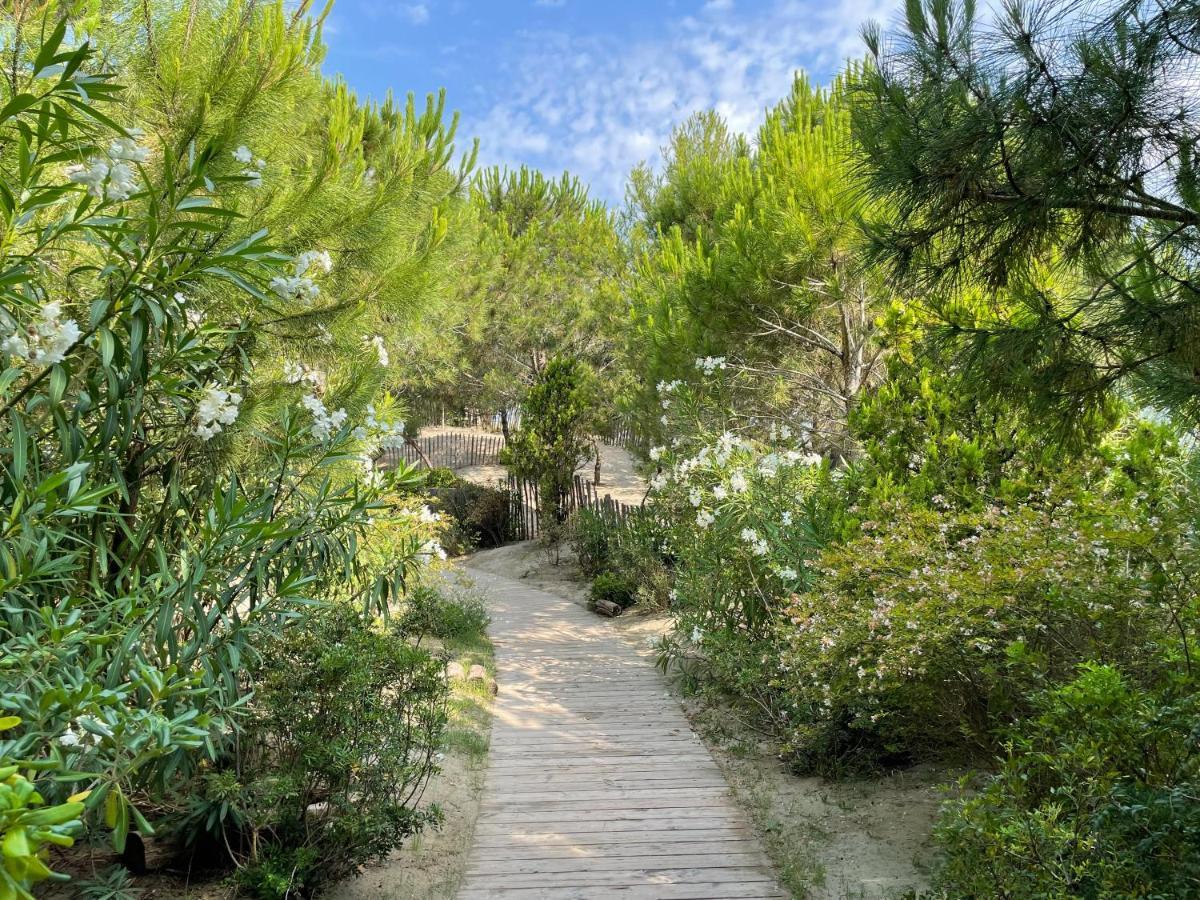 Hotel Plage Palace & Spa Palavas-les-Flots Exterior foto The path leading to the cave